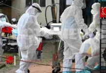 കേരളത്തിലെ നിപ വൈറസ് ബാധ: എല്ലാ പിന്തുണയും വാഗ്ദാനം ചെയ്ത് കേന്ദ്രം