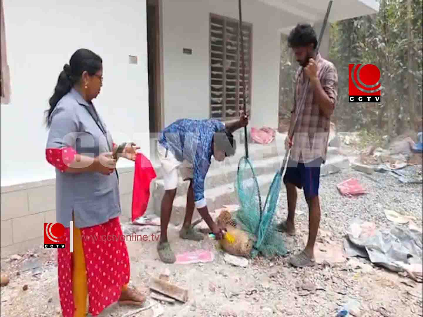 ERMPTY തെരുവ് നായകൾക്ക് copy