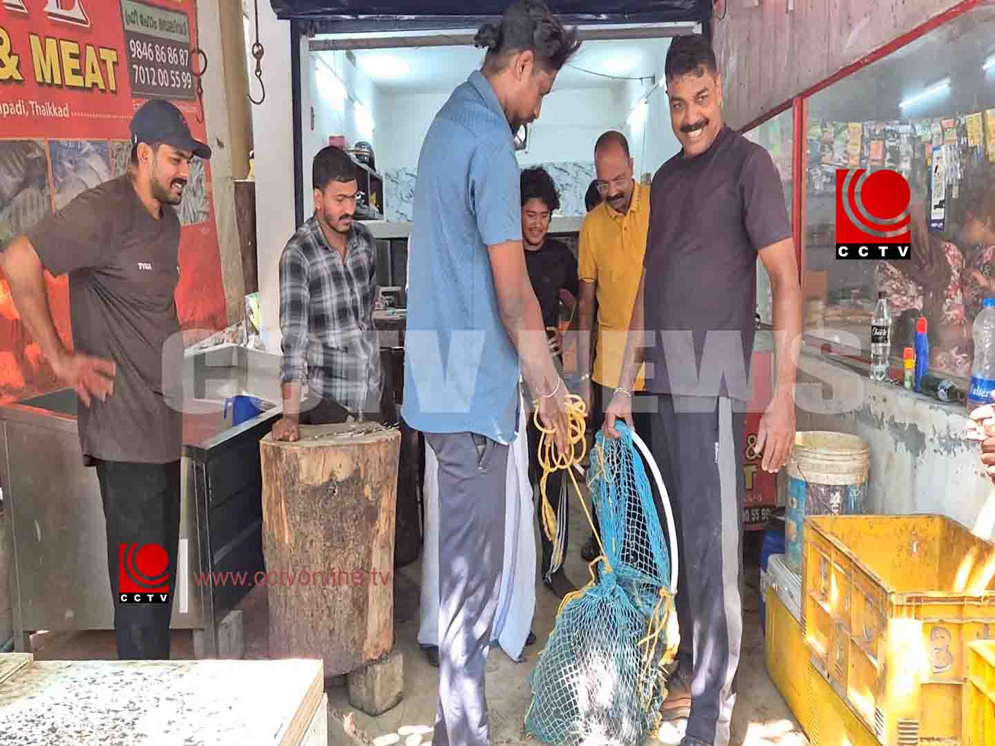 വാഹനം ഇടിച്ച് പരിക്കേറ്റ മുള്ളന് പന്നിക്ക് രക്ഷകരായി നാട്ടുകാര്