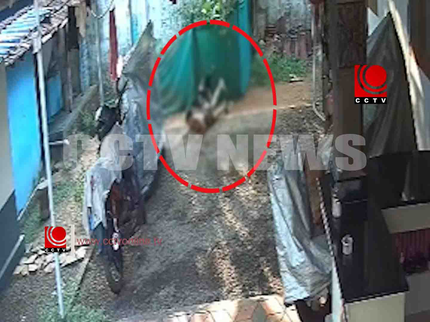 ermpty തെരുവ് നായ ആക്രമണം copy