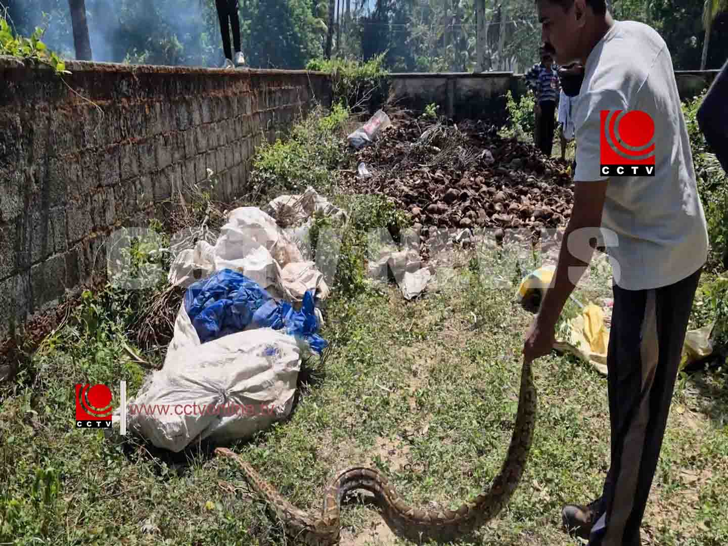 ഗുരുവായൂര് ചൂല്പ്പുറത്ത് നിന്ന് മലമ്പാമ്പിനെ പിടികൂടി