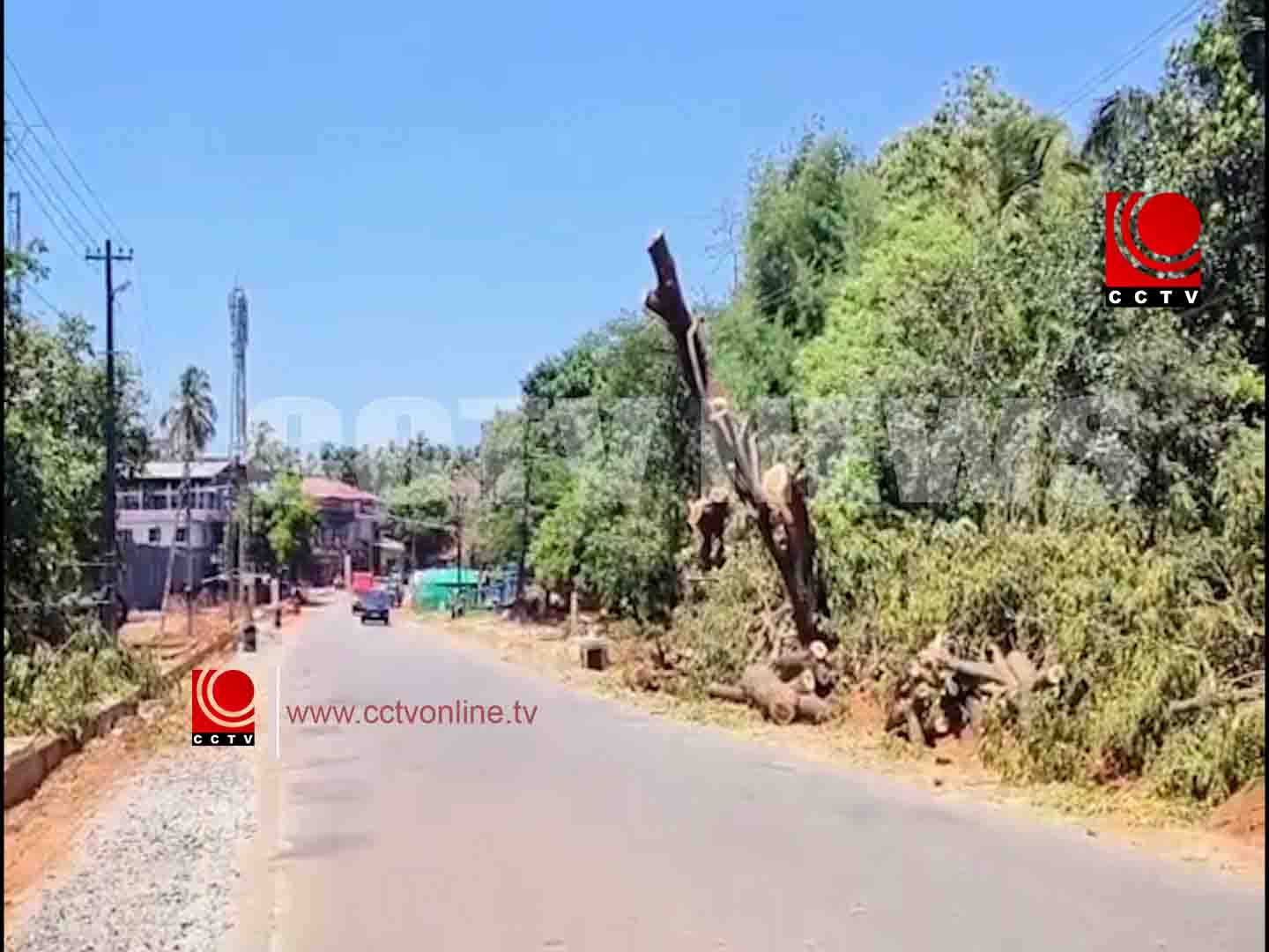 ചാലിശ്ശേരി – പട്ടാമ്പി റോഡ് നവീകരണം; അഴുക്കുചാല് നിര്മാണം വേഗത്തിലാക്കുന്നതിനായി മരങ്ങള് മുറിച്ച് മാറ്റുന്നത് പുരോഗമിക്കുന്നു