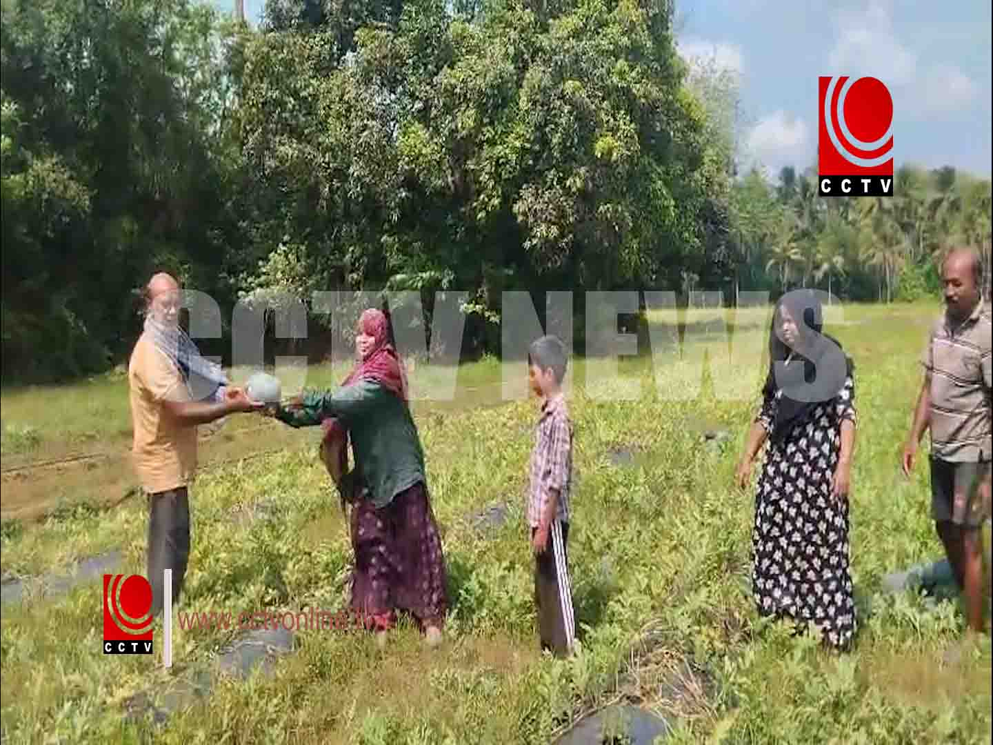 തണ്ണിമത്തന് കൃഷിയുടെ വിളവെടുപ്പ് നടന്നു