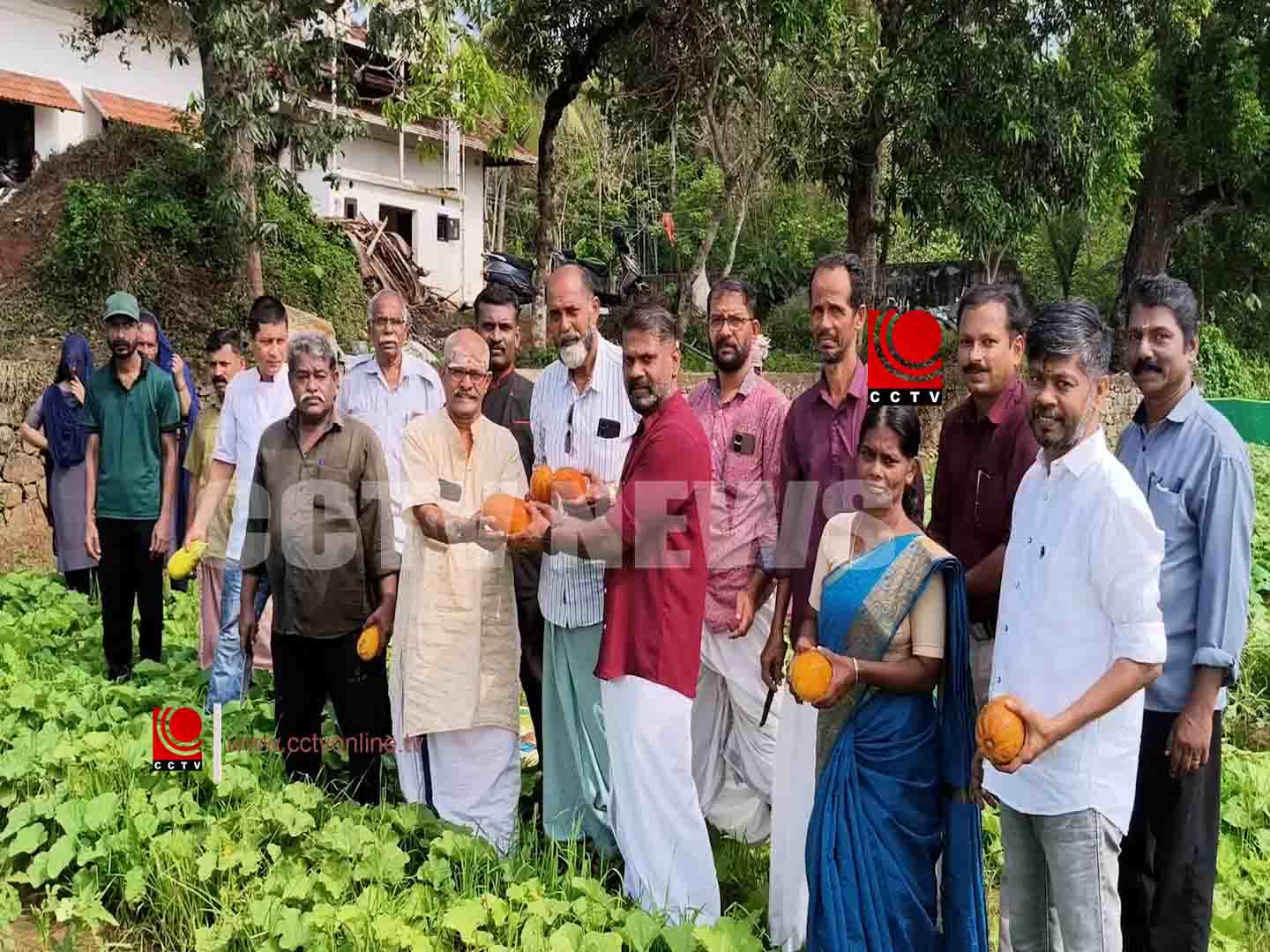 പച്ചക്കറി കൃഷി വിളവെടുപ്പ്.mp4 copy