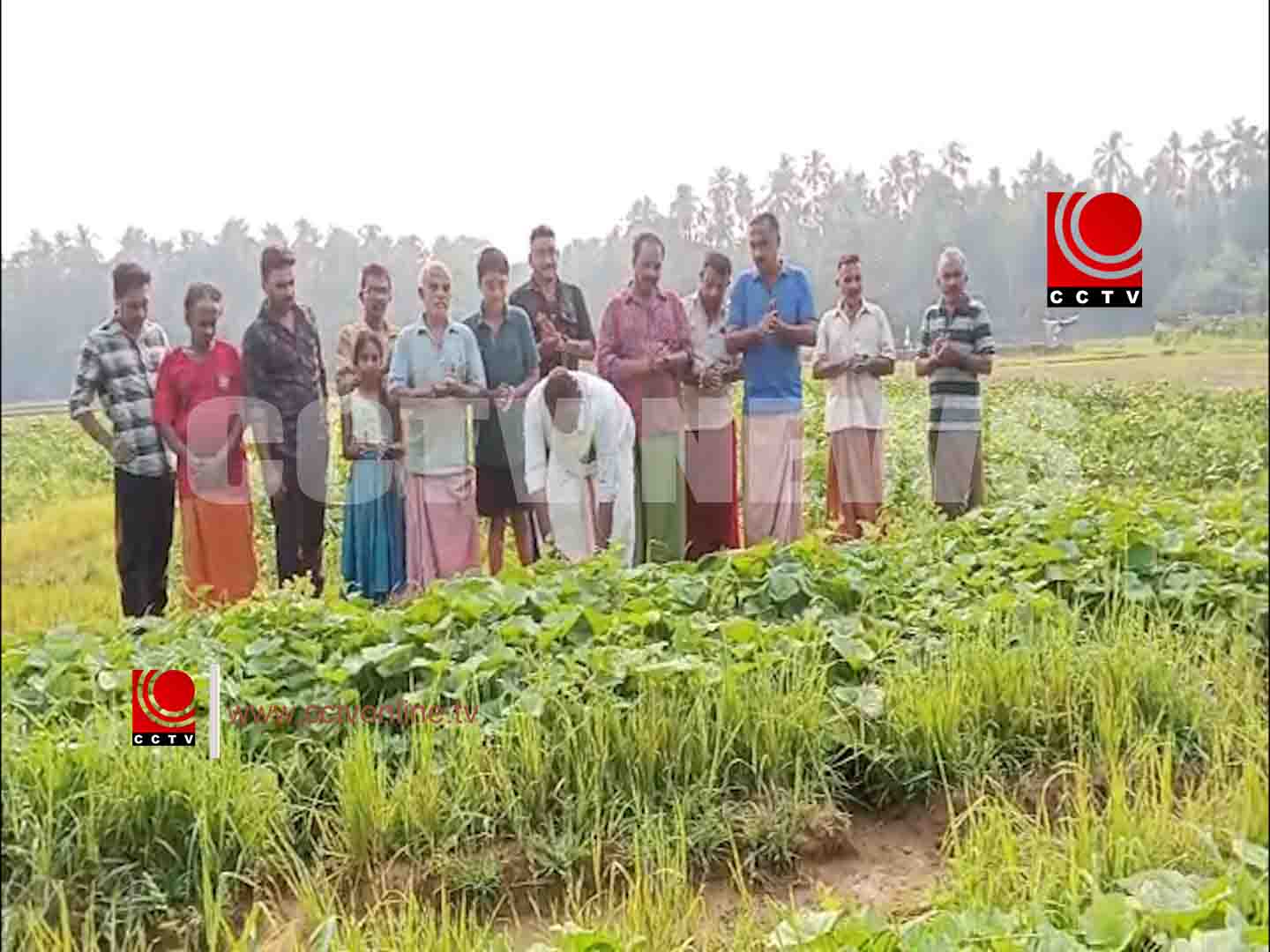 പച്ചക്കറി കൃഷിയുടെ വിളവെടുപ്പ് നടത്തി