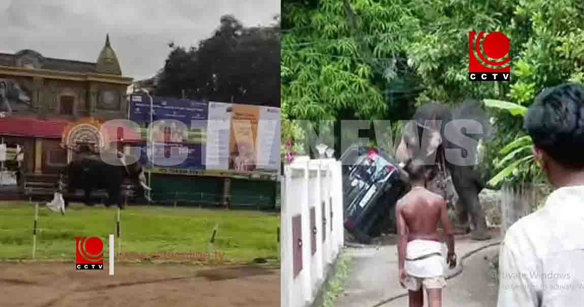 തൃശൂര് നഗരത്തില് ആന ഇടഞ്ഞോടിയ സംഭവം; ജില്ലാ ഭരണകൂടം അന്വേഷണത്തിന് ഉത്തരവിട്ടു