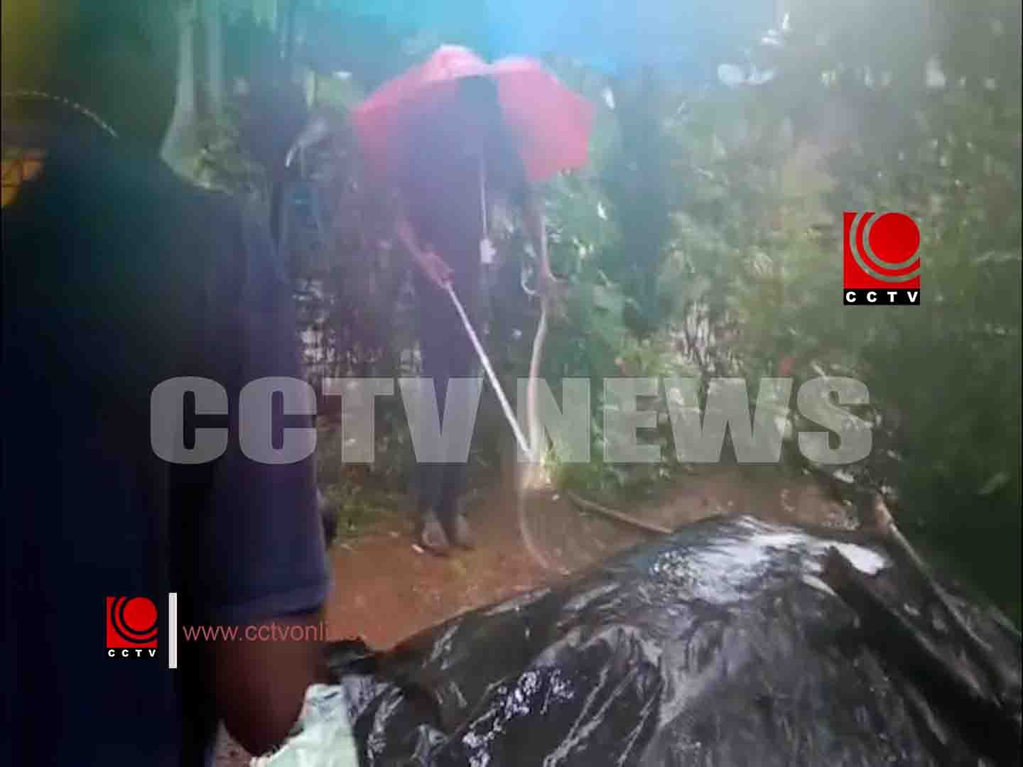 കുന്നംകുളം കുറുക്കന്പാറയില് മൂര്ഖന് പാമ്പിനെ പിടികൂടി