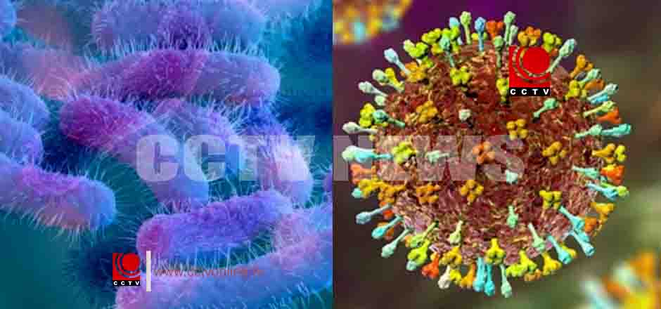 കോഴിക്കോട്ടെ നിപ ബാധ: കേന്ദ്ര സംഘം ഇന്നെത്തും