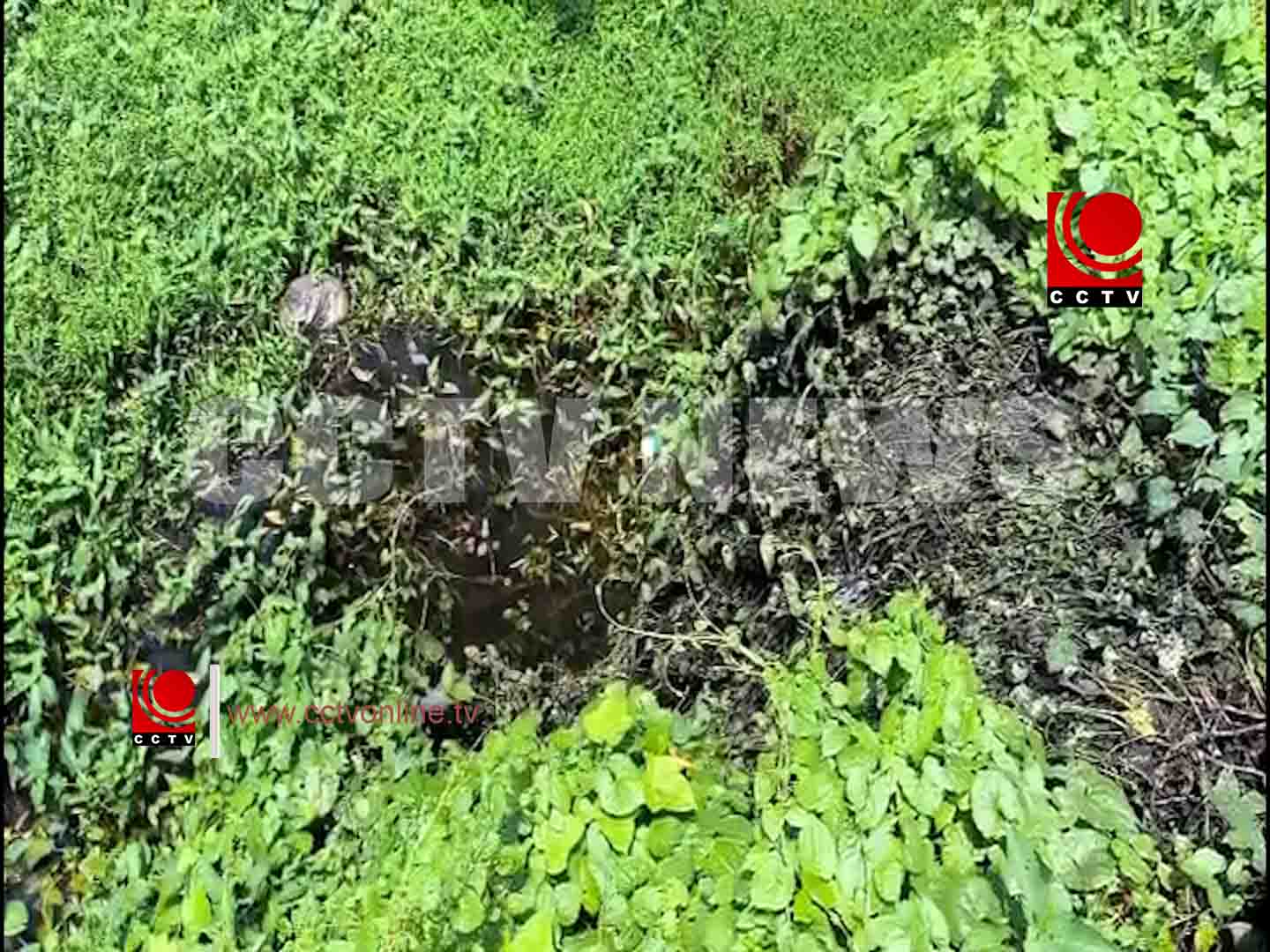 ഉപ്പുങ്ങലില് ശുചിമുറി മാലിന്യങ്ങള് തള്ളിയതായി പരാതി