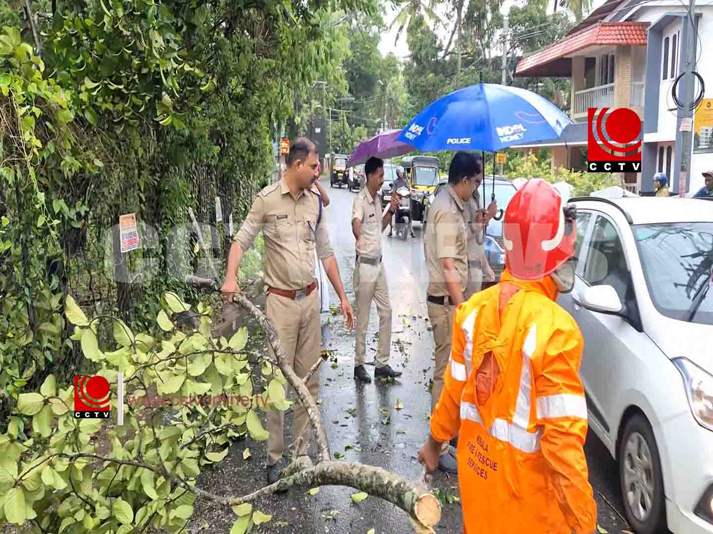 ഓടിക്കൊണ്ടിരുന്ന കാറിനു മുകളിലേക്ക് മരക്കൊമ്പ് ഒടിഞ്ഞുവീണു