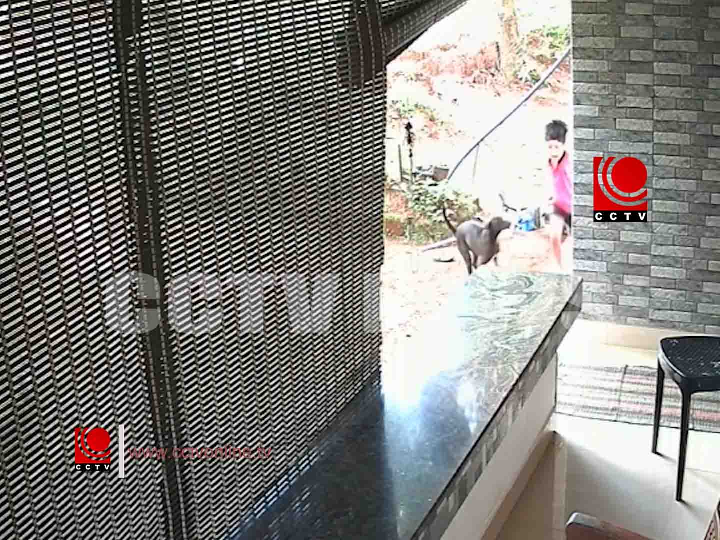 ആലങ്കോട് മദ്രസ സമീപം തെരുവുനായുടെ ആക്രമണത്തില് അഞ്ചുപേര്ക്ക് പരിക്ക്