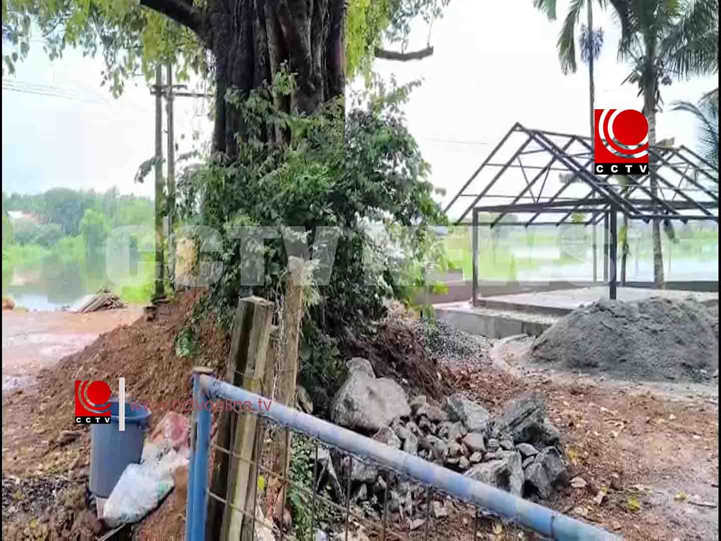 അതി പുരാതന പഴക്കമുള്ള ആല് മരം ഉണക്കികളയുവാന് ശ്രമിച്ചതില് ആക്ഷേപം