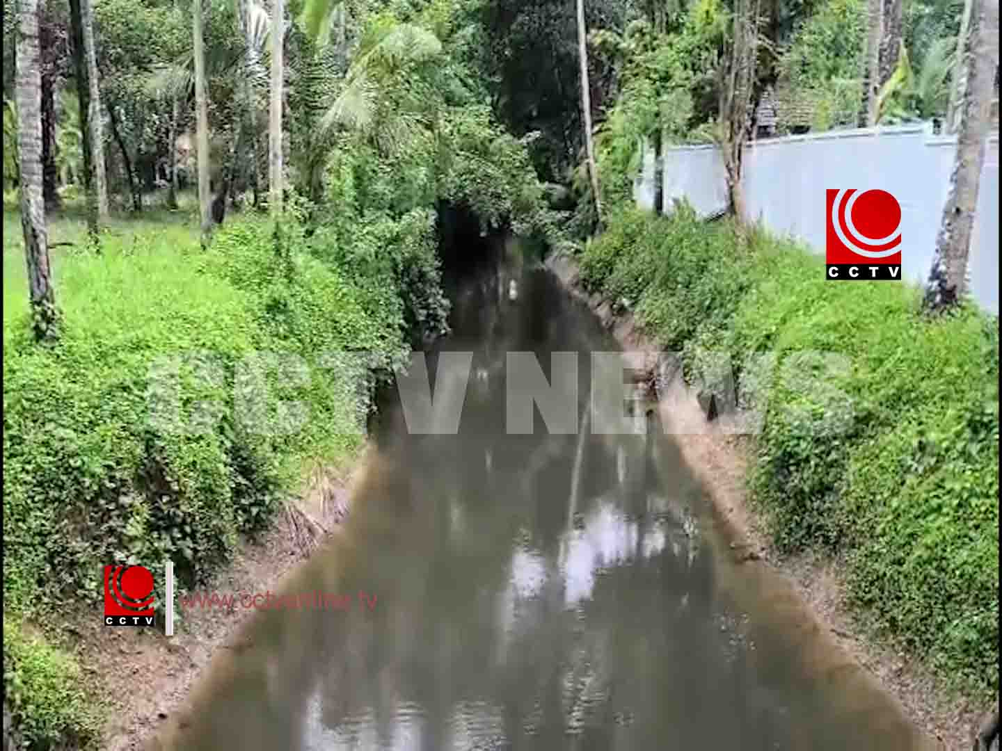 കുരഞ്ഞിയൂര് തച്ചനായില് തോട് വൃത്തിയാക്കാന് ആവശ്യപ്പെട്ട് പ്രദേശവാസികള്