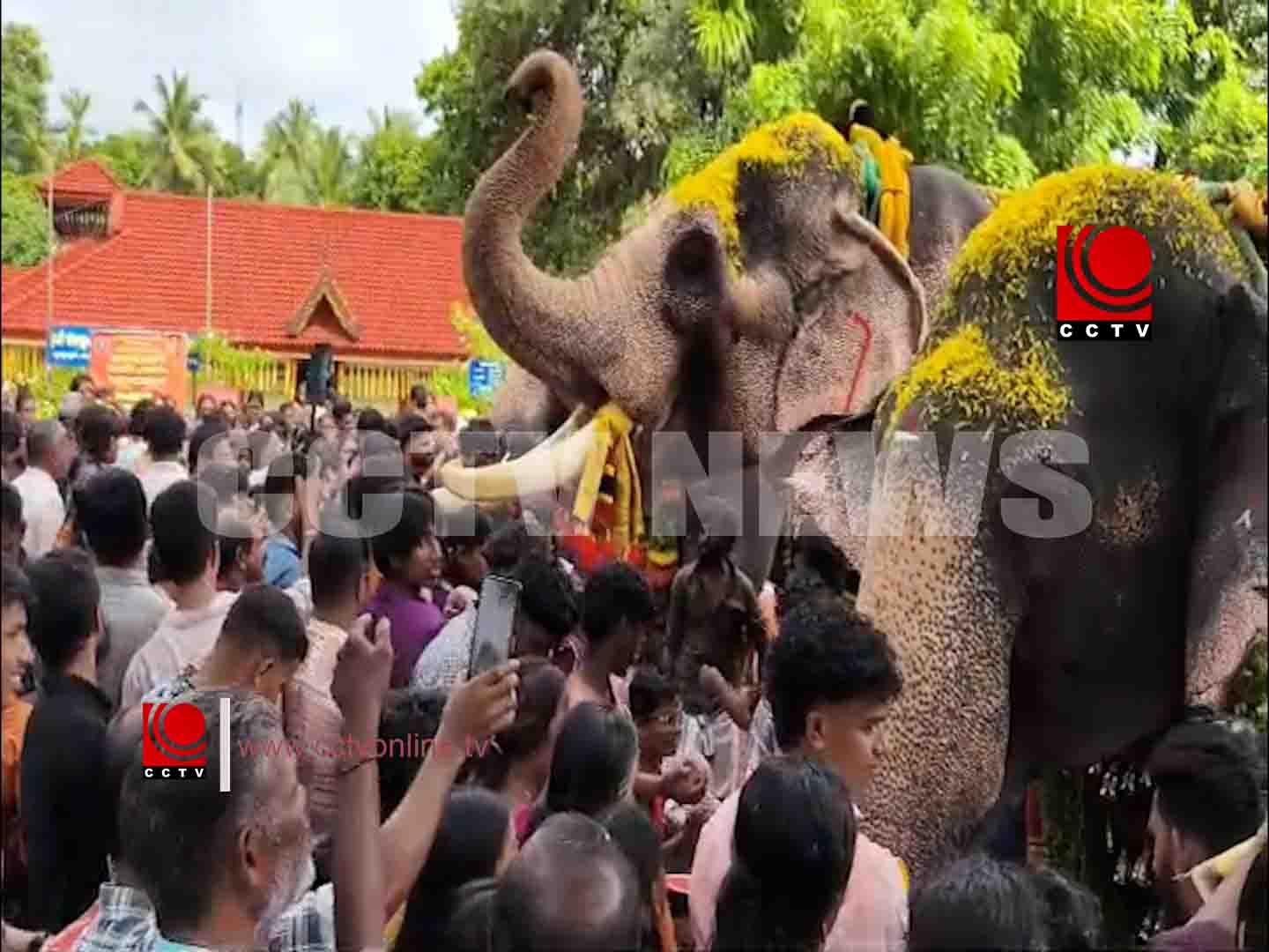 രാമായണ മാസാചരണം ; അഷ്ടദ്രവ്യമഹാഗണപതി ഹോമവും ആനയൂട്ടും നടന്നു