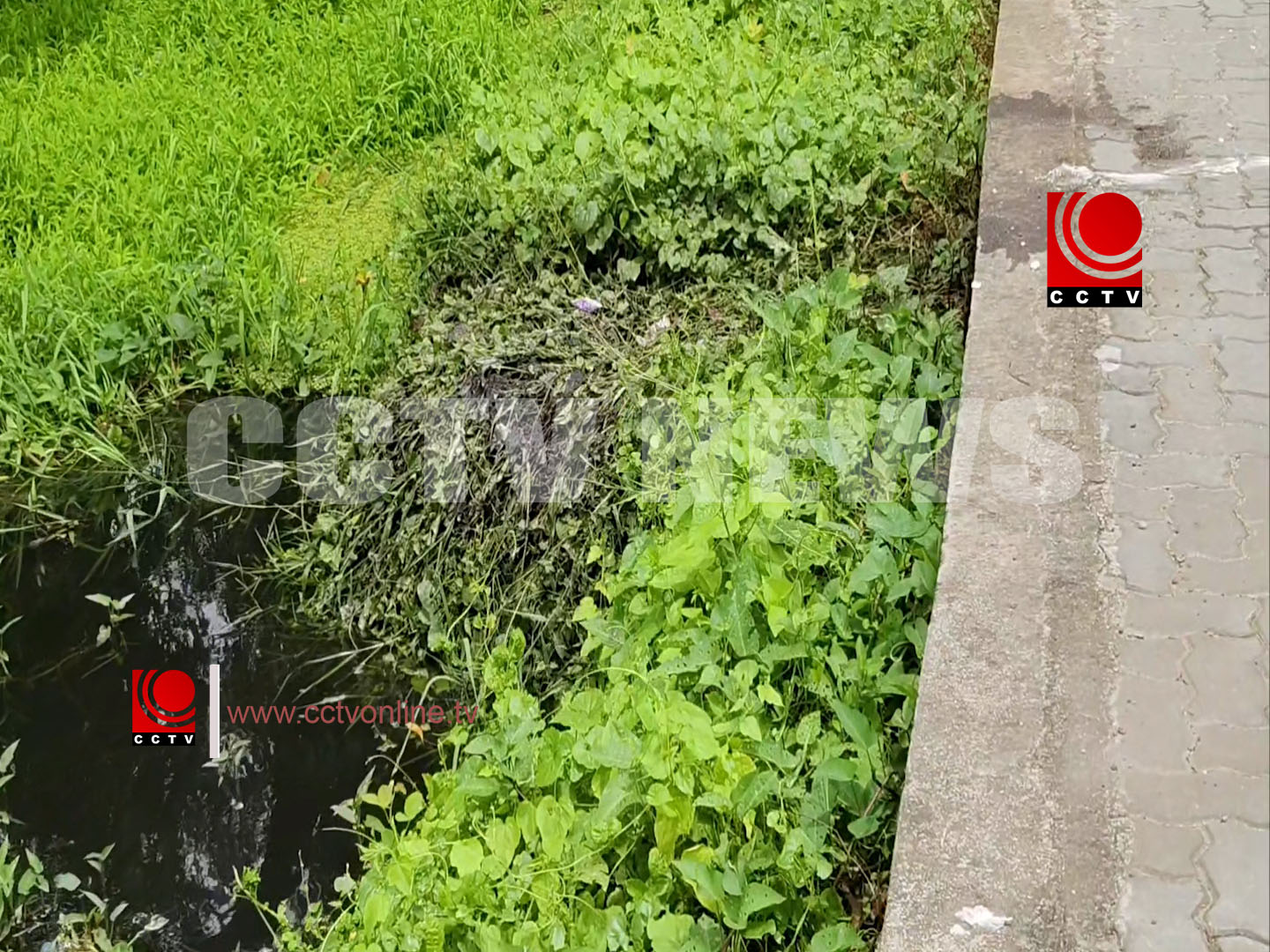 ശുചിമുറി മാലിന്യം തള്ളുന്നത് പതിവാകുന്നു ; പരാതിയുമായി പ്രദേശവാസികള്