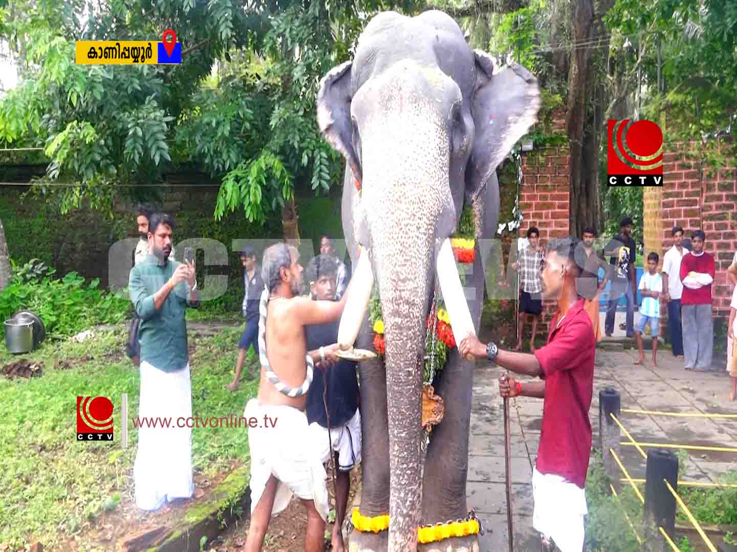 ഉഭയൂര് ശിവക്ഷേത്രത്തില് ആനയൂട്ടും,വിശേഷാല് ചടങ്ങുകളും നടന്നു