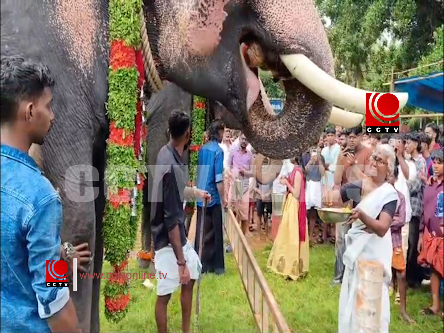 കാട്ടകാമ്പാൽ ഭഗവതി ക്ഷേത്രത്തിൽ ഗജപൂജയും ആനയൂട്ടും ന.mp4 copy