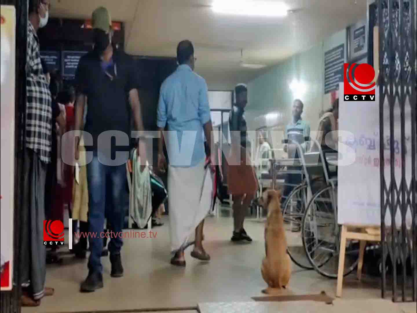 കുന്നംകുളം താലൂക്ക് ആശുപത്രിയിൽ തെരുവുനായ ആക്രമണം; അമ്മയ്ക്കും മകനും പരിക്ക്