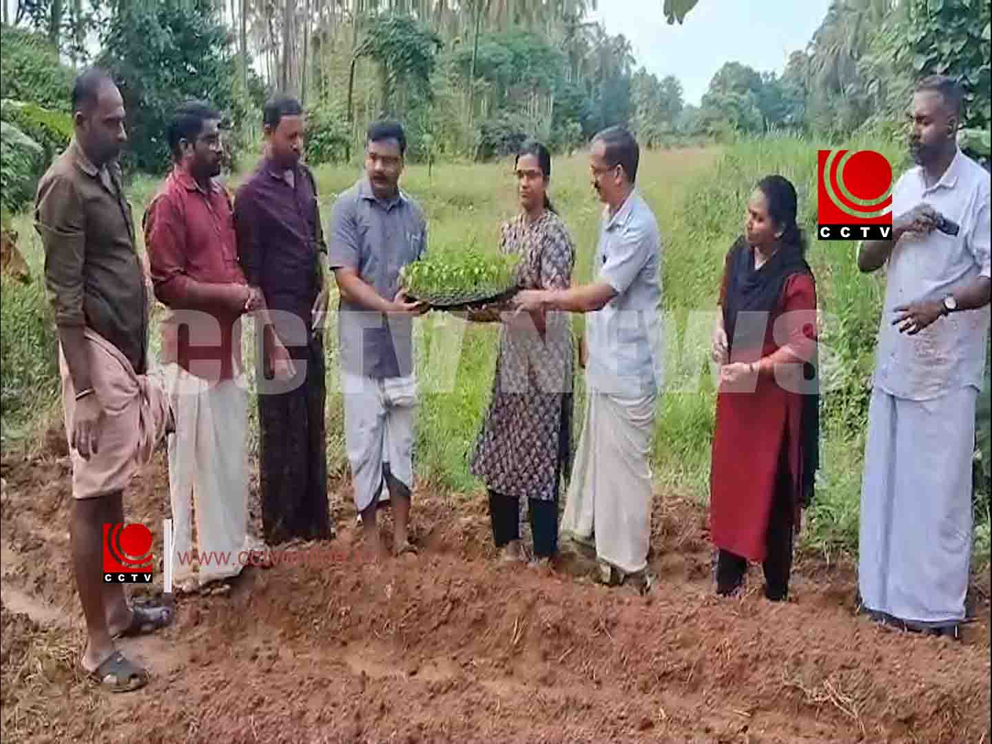 കര്ഷക സംഘം ചൊവ്വന്നൂര് മേഖല കമ്മറ്റി നേതൃത്വത്തില് സംയോജിതകൃഷിയുടെ നടീല് ഉത്സവം നടന്നു