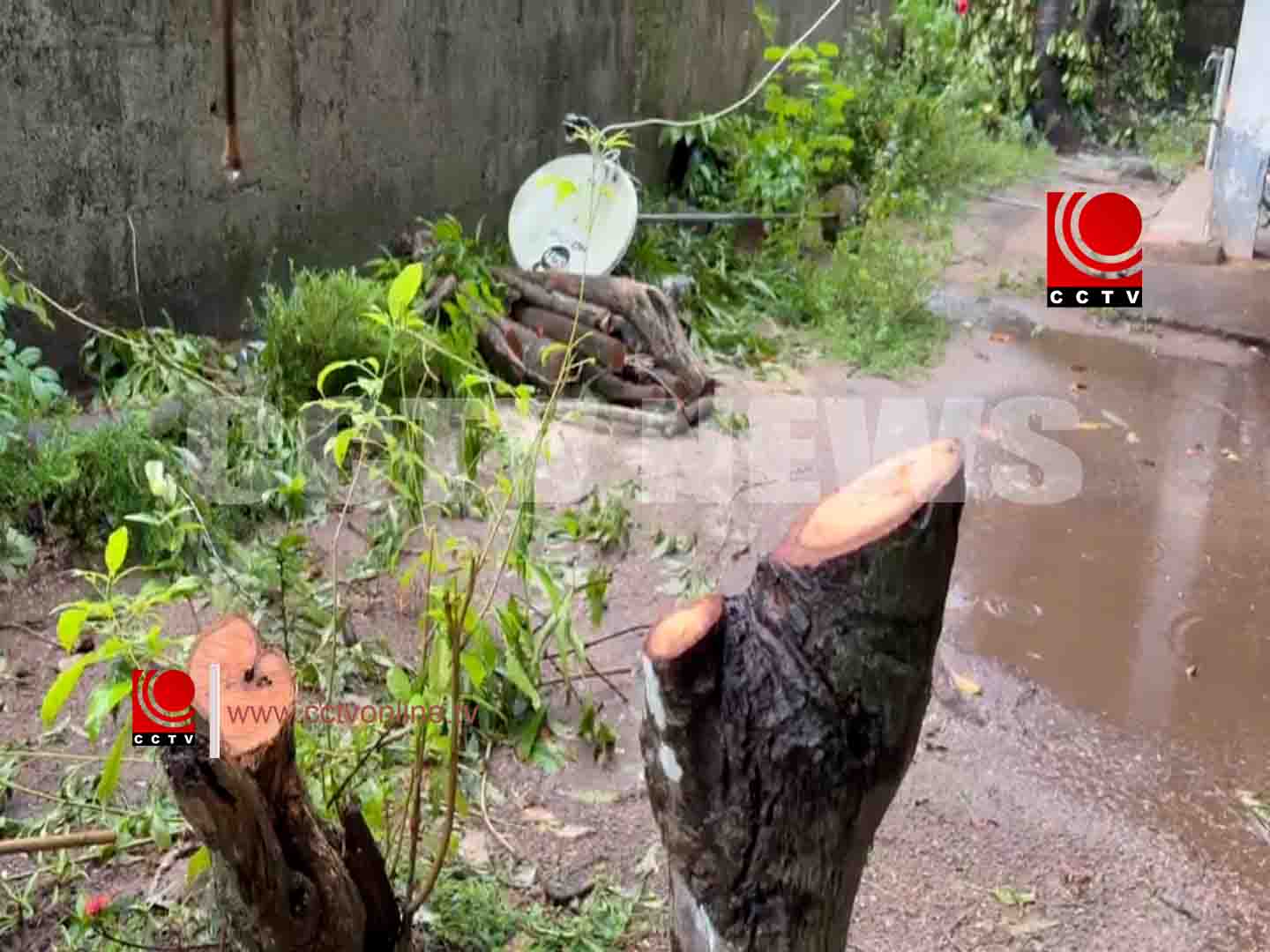 വീട്ടുവളപ്പില് കയറി മരങ്ങള് വെട്ടിയിട്ടതായി പരാതി