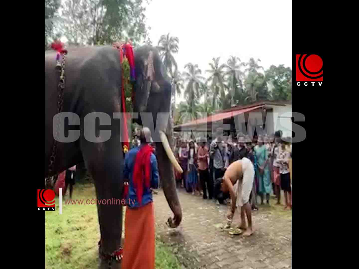 ഞമനേങ്ങാട് മഹാദേവ ക്ഷേത്രത്തില് രാമായണ പാരായണം സമാപിച്ചു