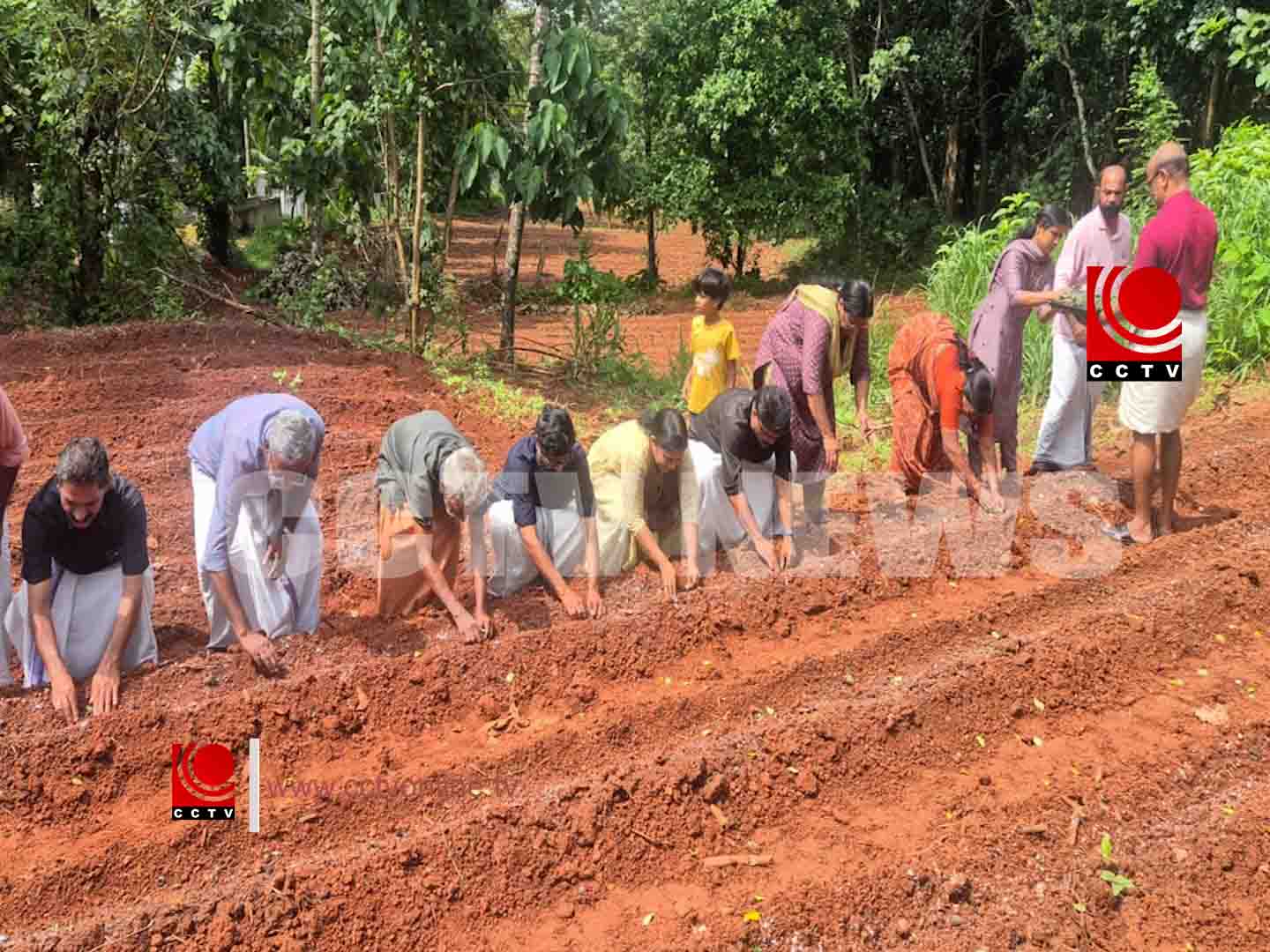 സി.പി.ഐ.എം പന്നിത്തടം ലോക്കല് കമ്മിറ്റിയുടെ നേതൃത്വത്തില് പച്ചക്കറി കൃഷി ആരംഭിച്ചു
