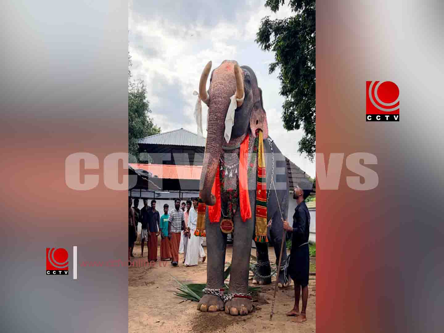 കര്ക്കിടക മാസാചരണം ; ഗജപൂജയും ആനയൂട്ടും നടന്നു