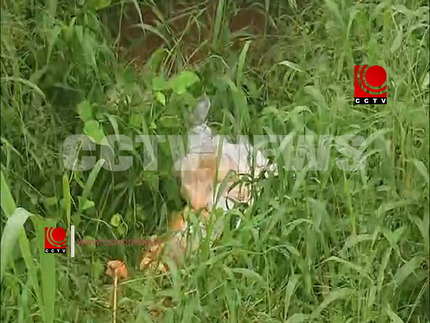 പൊതുസ്ഥലത്ത് മാലിന്യം തള്ളിയ കാറ്ററിംഗ് സ്ഥാപനത്തിനെതിരെ നടപടി സ്വീകരിച്ചു