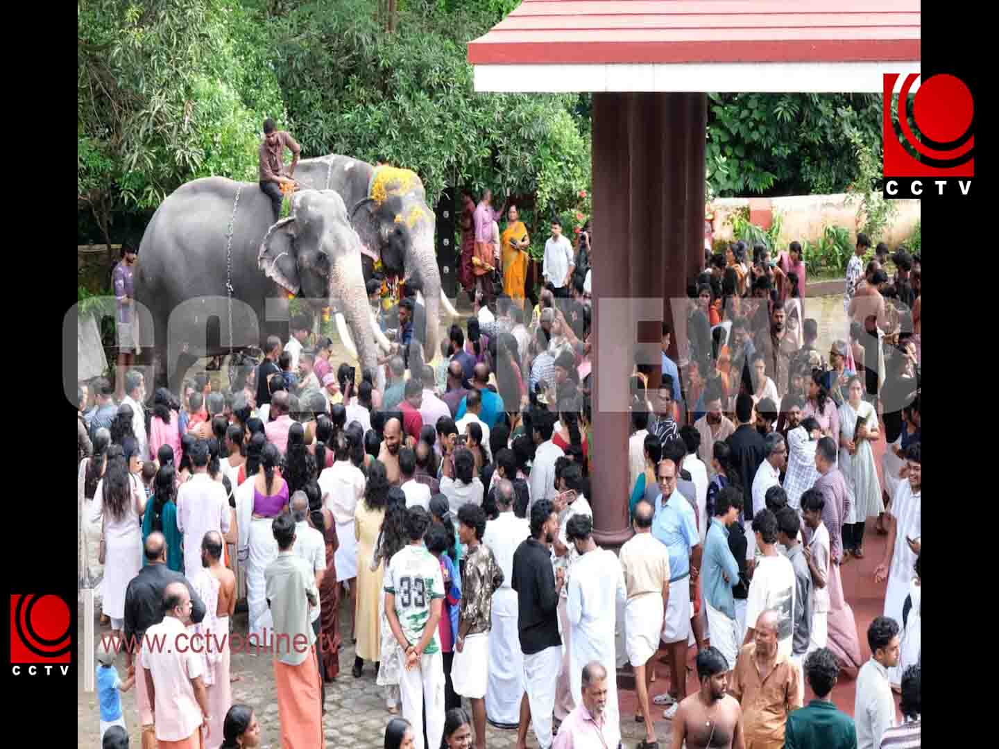 കുന്നംകുളം ചീരംകുളം ഭഗവതി ക്ഷേത്രത്തില് രാമായണ മാസാചരണത്തോടനുബന്ധിച്ച് ഇല്ലം നിറയും ആനയൂട്ടും നടന്നു