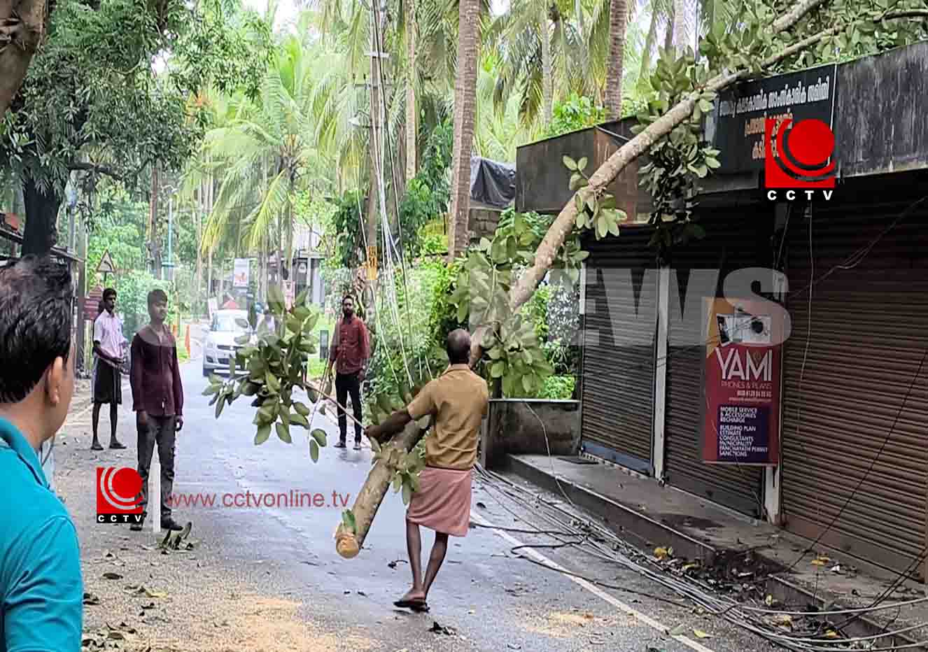 യാത്രക്കാര്ക്ക് ഭീക്ഷണിയായി നിന്നിരുന്ന മരങ്ങള് മുറിച്ചുമാറ്റാന് നടപടികള് ആരംഭിച്ചു