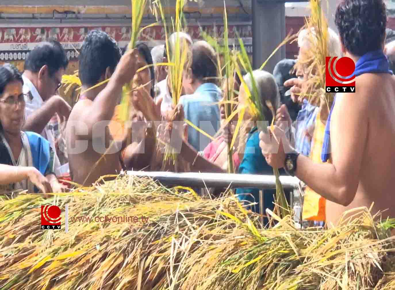 ഗുരുവയൂര് ക്ഷേത്രത്തില് ഇല്ലംനിറ ആഘോഷം