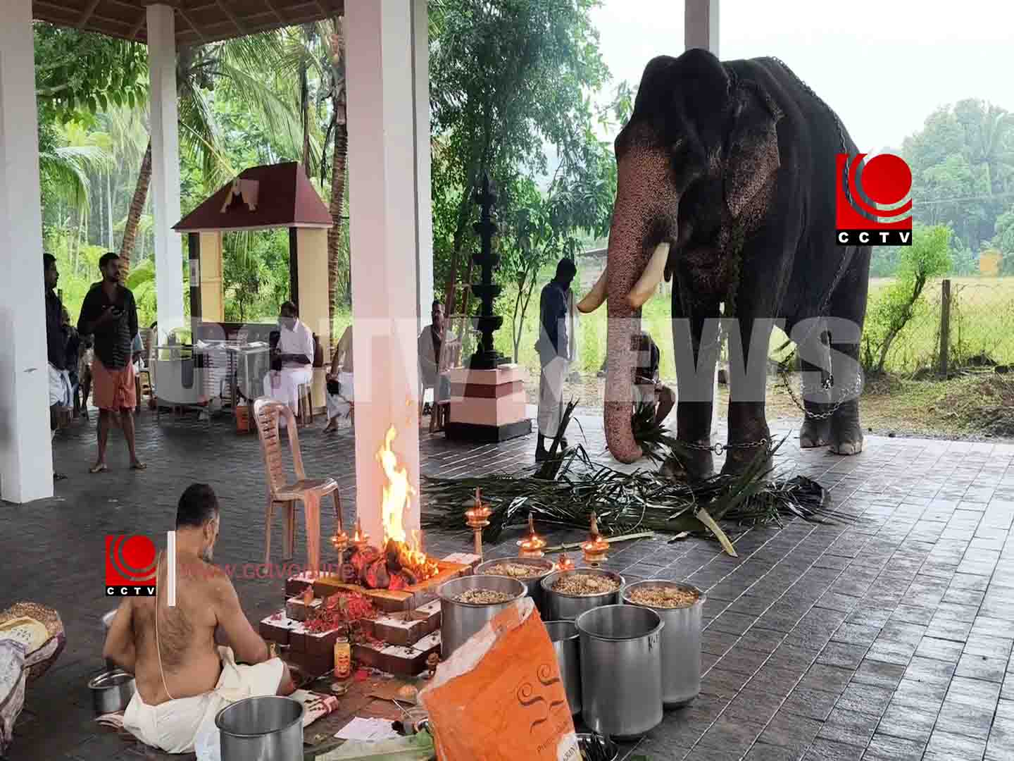 ഭക്തിസാന്ദ്രമായി ശീ കറുതക്കോട്ട് മഹാദേവ ക്ഷേത്രത്തിലെ ആനയൂട്ട്