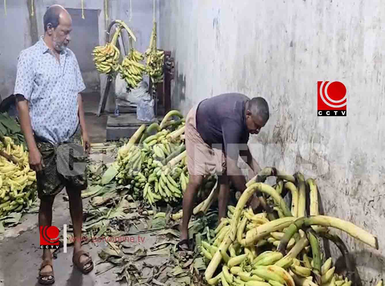 മൂന്ന് തലമുറകളുടെ നേന്ത്രപ്പഴ പാരമ്പര്യം ; 55 വര്ഷ നിറവില് പഴുന്നാന് മാത്യൂസ്