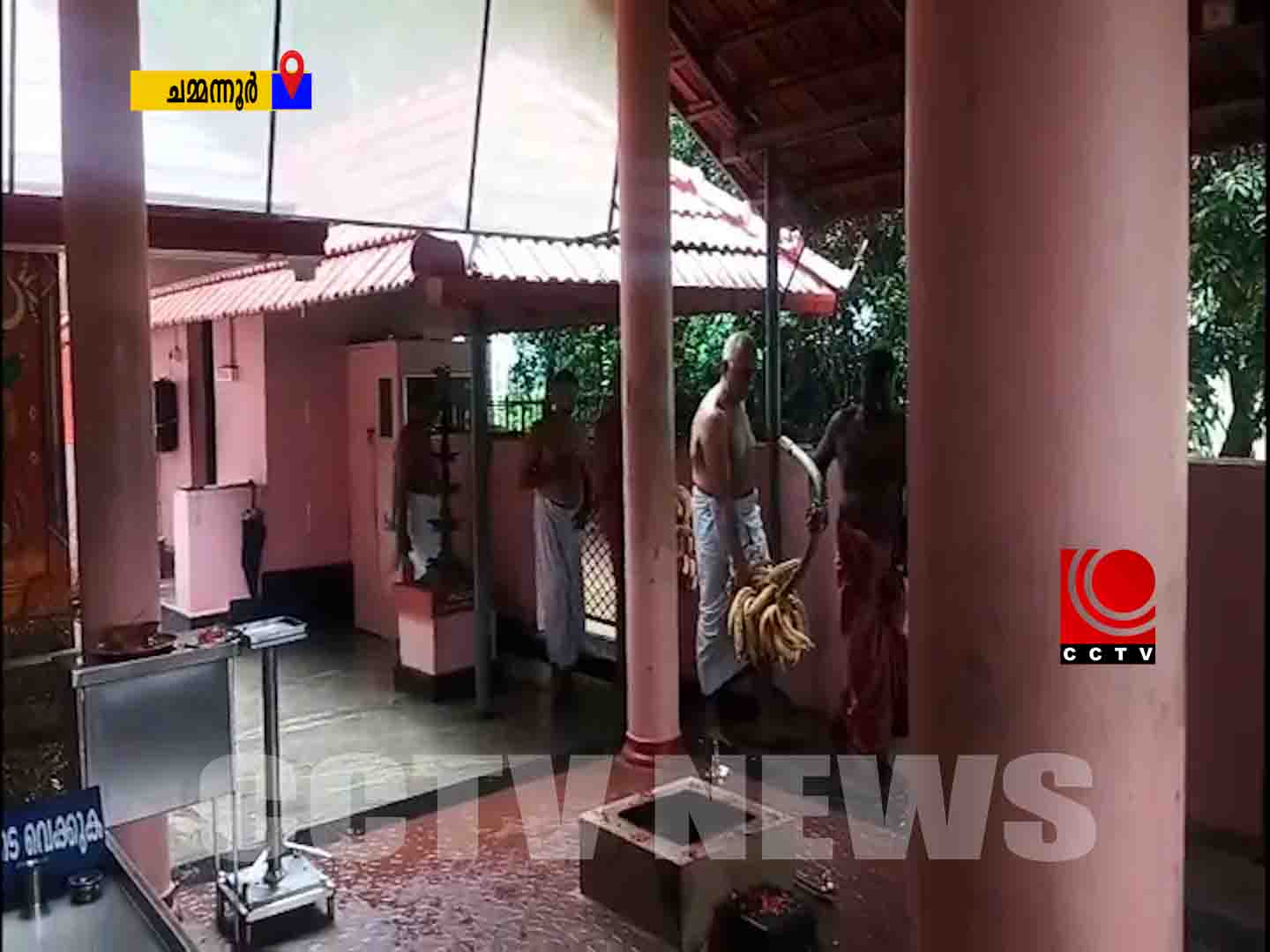 ചമ്മനൂര് മാഞ്ചിറക്കല് ഭഗവതി ക്ഷേത്രത്തില് കാഴ്ച്ചക്കുല സമര്പ്പണം