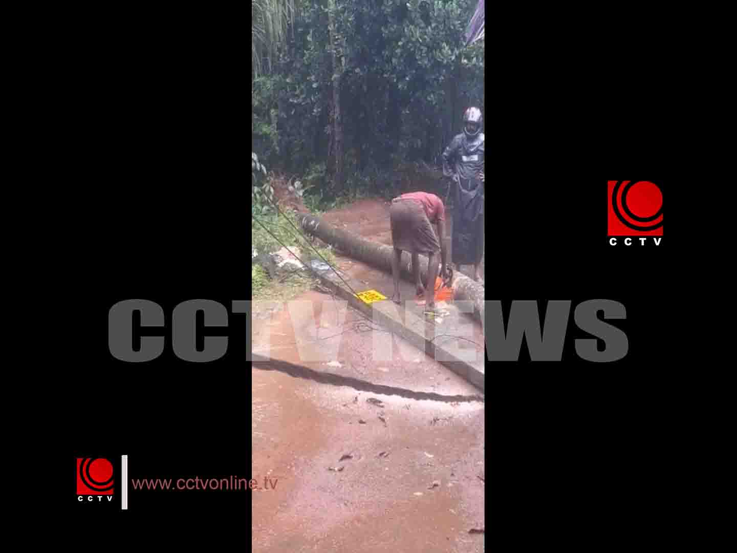 തെങ്ങ് കടപുഴകി ഇലക്ട്രിക് കമ്പിയില് വീണ് പോസ്റ്റ് തകര്ന്നു