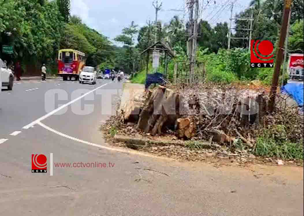 യാത്രക്കാരെ ദുരിതത്തിലാക്കി നടപ്പാതയിലെ ആല്മര തടികള്