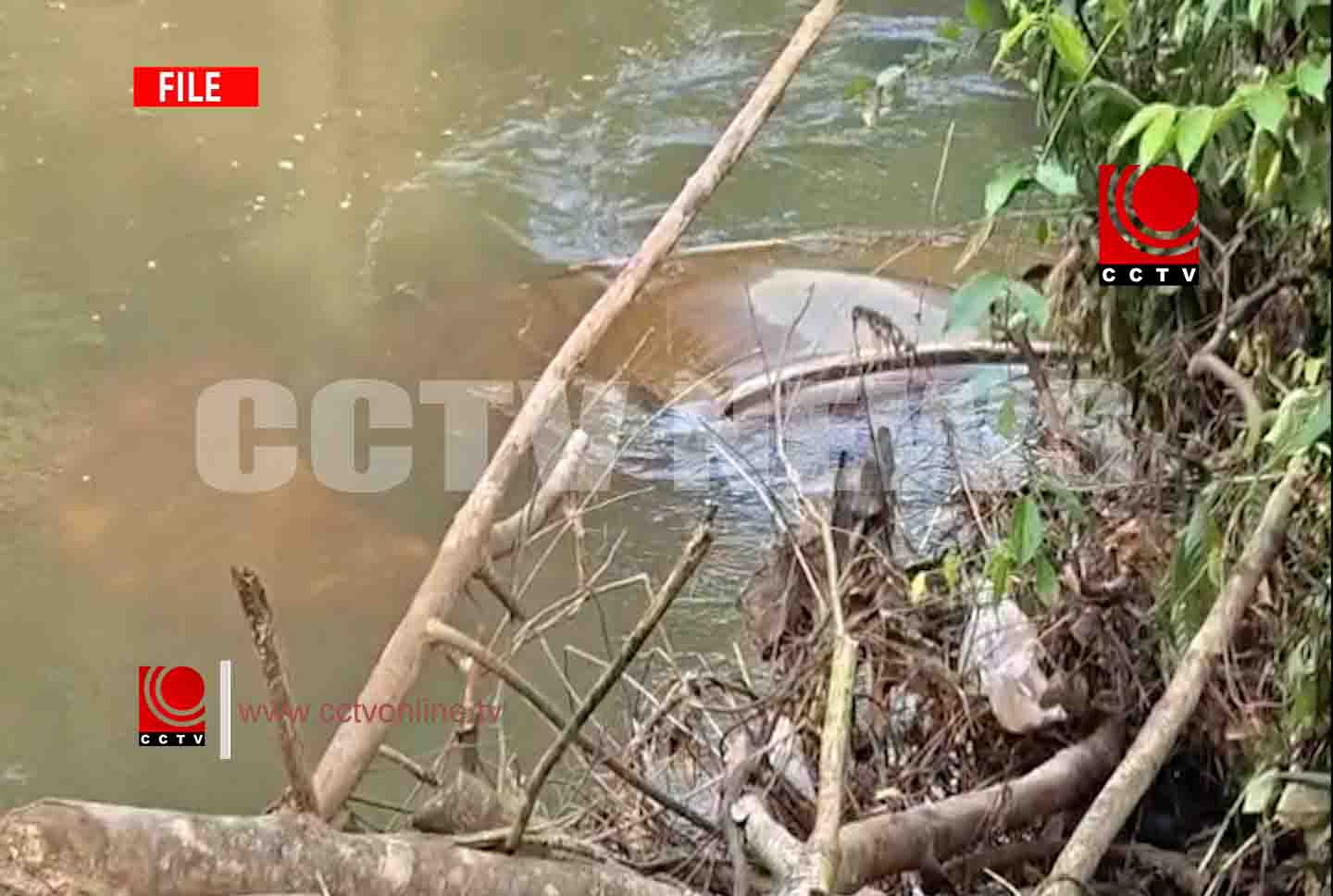 മടവാക്കര കാച്ചക്കടവില് അപകടത്തില്പ്പെട്ട് ഒഴുകിപ്പോയ കാര് കണ്ടെത്തി