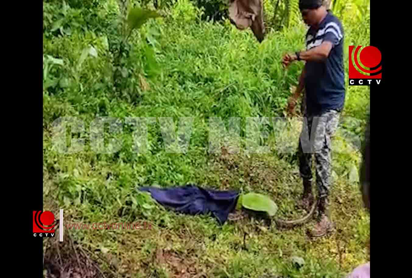 പതിയാരത്ത് മലമ്പാമ്പിനെ പിടികൂടി