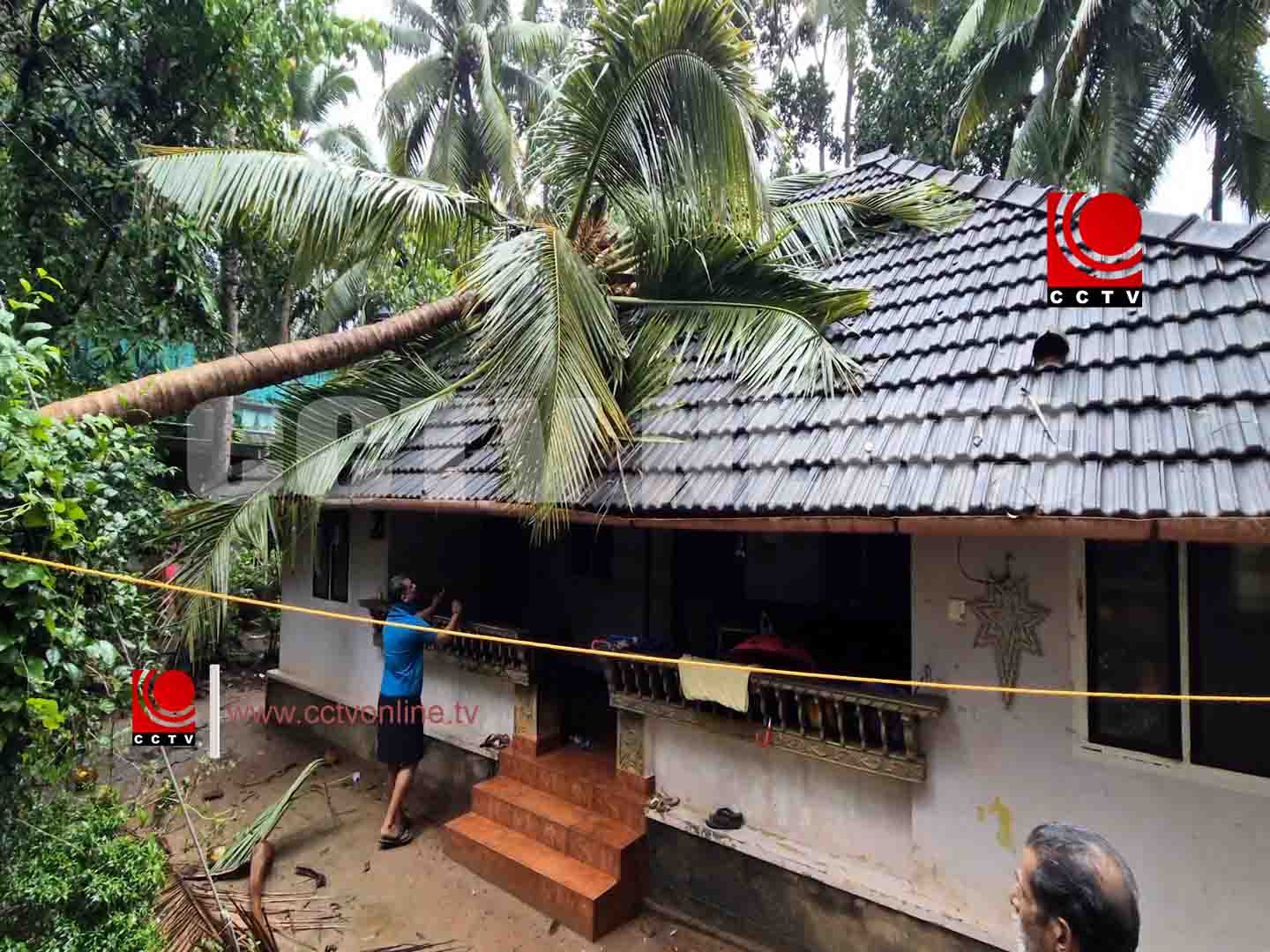 തൊഴിയൂരിൽ തെങ്ങ് വീണ് വീട് ഭാഗികമായി തകർന്നു